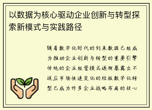 以数据为核心驱动企业创新与转型探索新模式与实践路径 以数据为核心驱动企业创新与转型探索新模式与实践路径